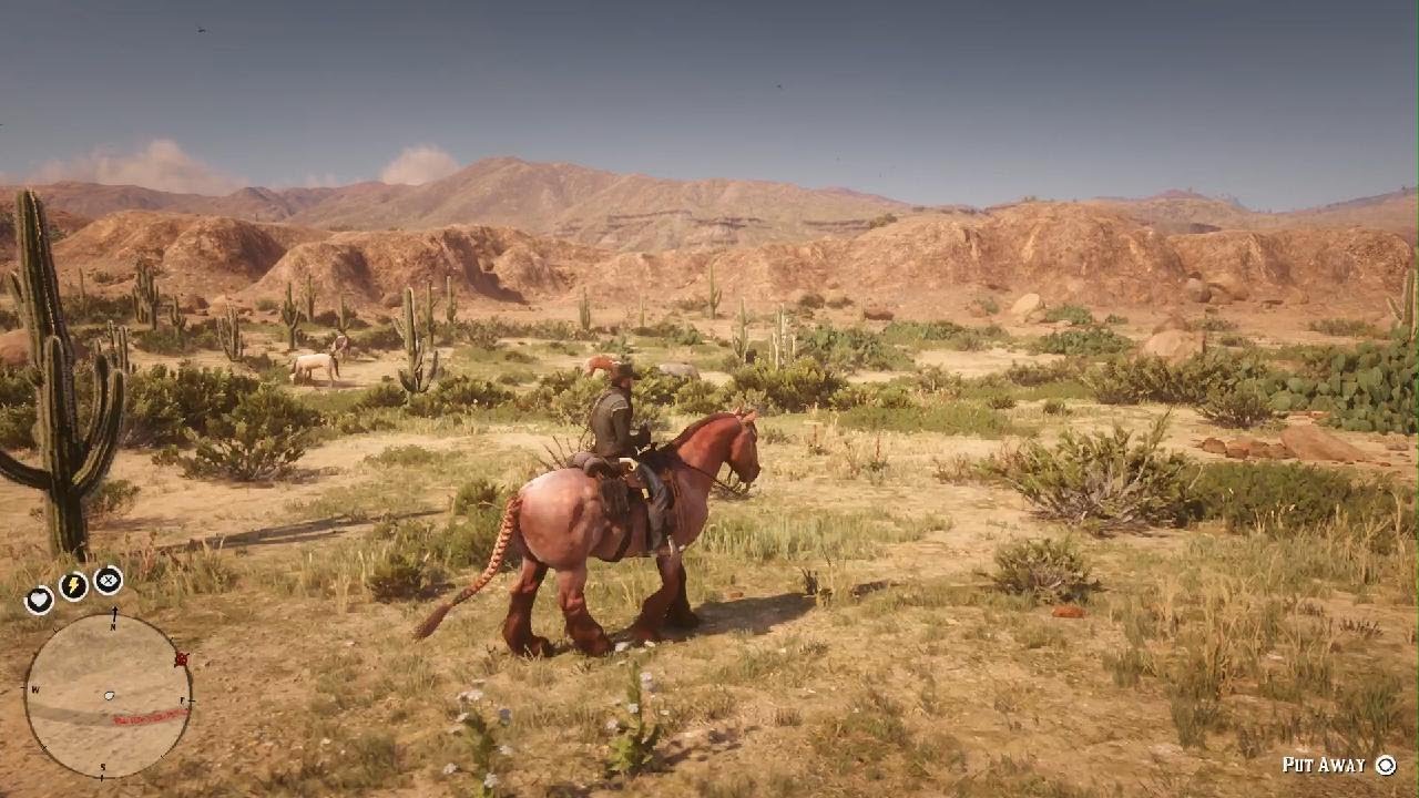 Red Dead Redemption 2 American Paint Location – ZWZI