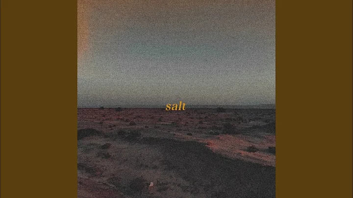 salt (feat. Ardie Son & Morris Kliphuis)