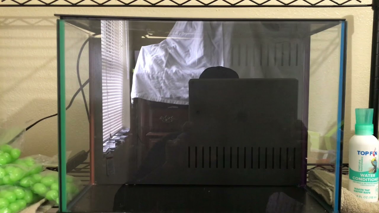 Ronderful Aquariums Set up with me Sunday Top Fin 5 Gallon Dazzle Aquarium