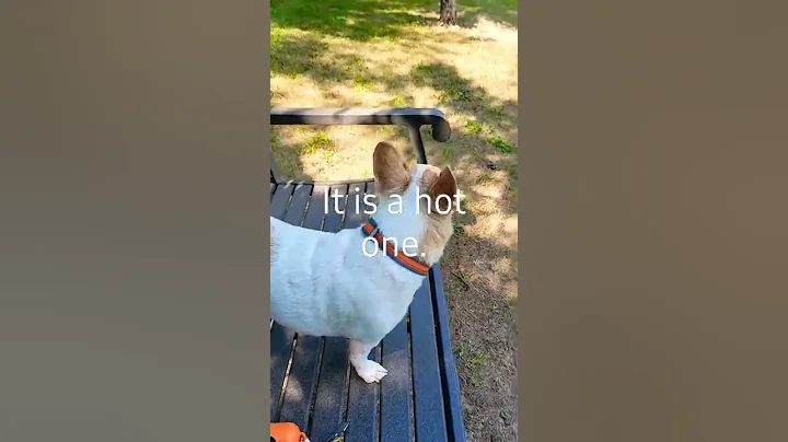 it's a hot one