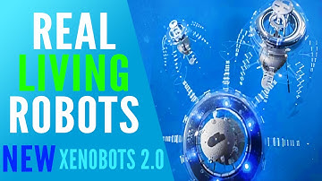 A Real Living BIOLOGICAL ROBOT - The New Xenobots 2.0