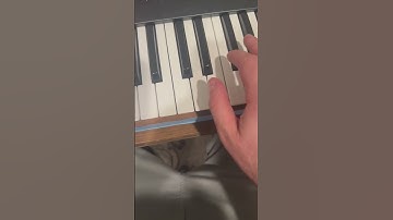 Issue with Prophet 6