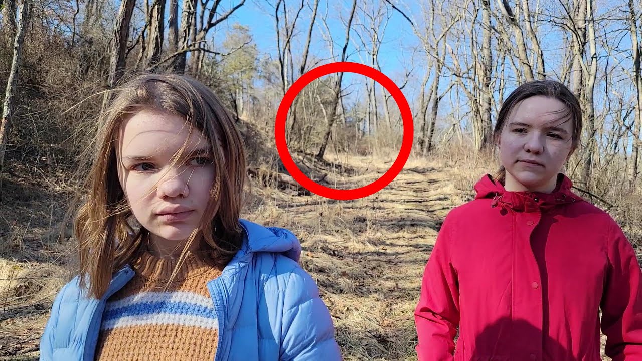 THE WITCH IN THE WOODS.