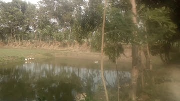 Cinema 4D Dancing Character Animation Tutorial | Cinema 4D Motion Graphics Tutorial