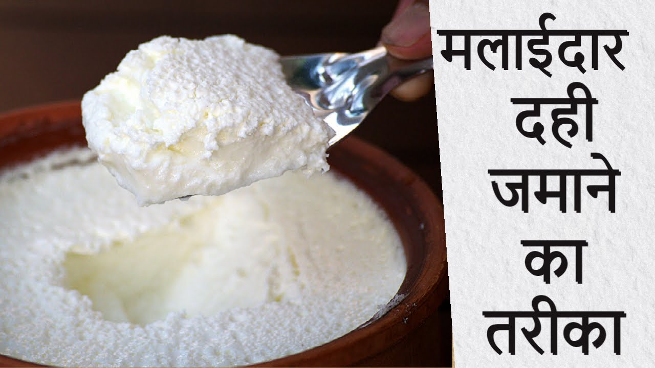Malaidar dahi jamane ka tarika हलवाई ऐसे जमाते है गाढ़ा मलाईदार दही YouTube