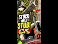 Tree top swing fail
