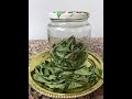 How to keep Curry leaves for long in Cabinet | How to store Curry leaves | Faiza Kitchen and Vlogs