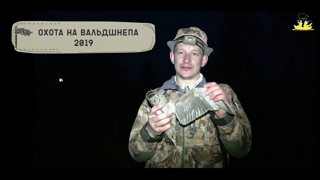 Охота на вальдшнепа 2019 | Woodcock hunting 2019