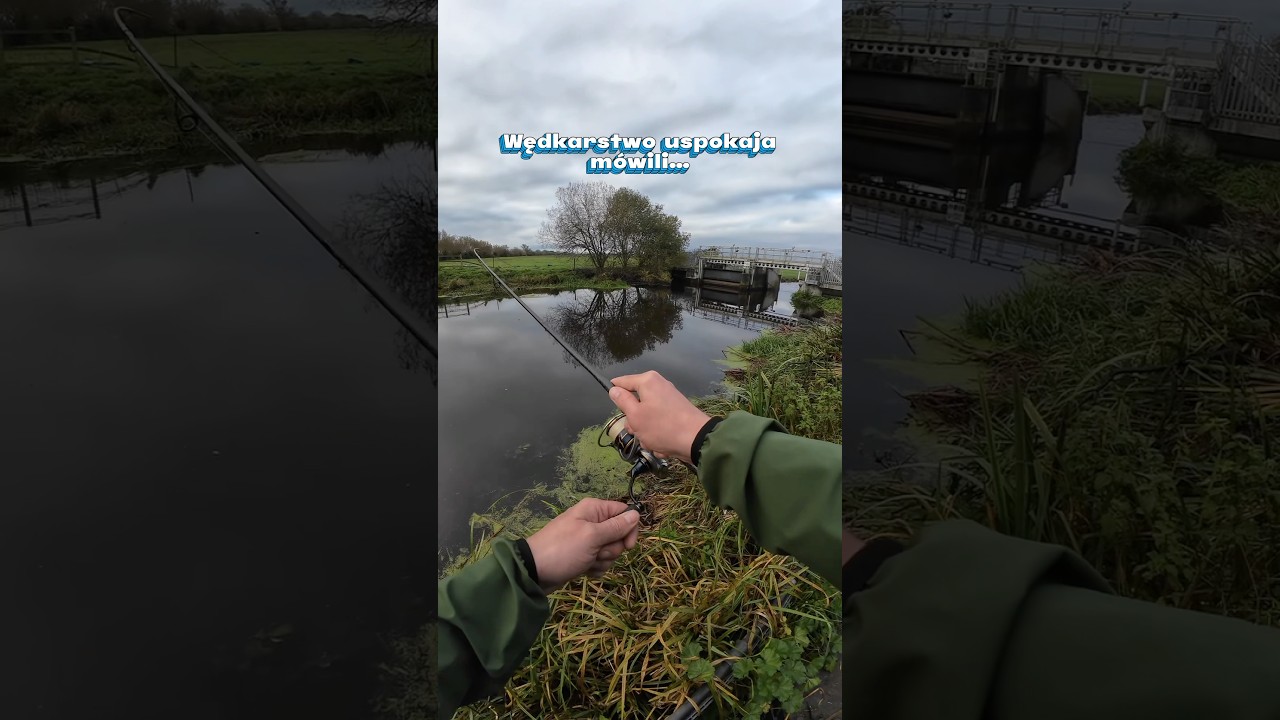 Obślizguny jedne😂  