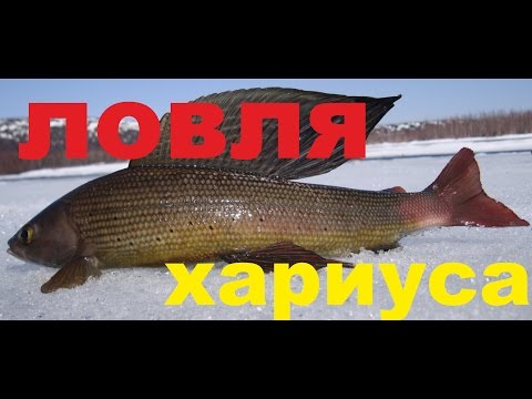 река селиткан сплав и рыбалка река селиткан сплав и рыбалка