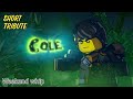 Ninjago Cole Short Tribute || Weekend Whip