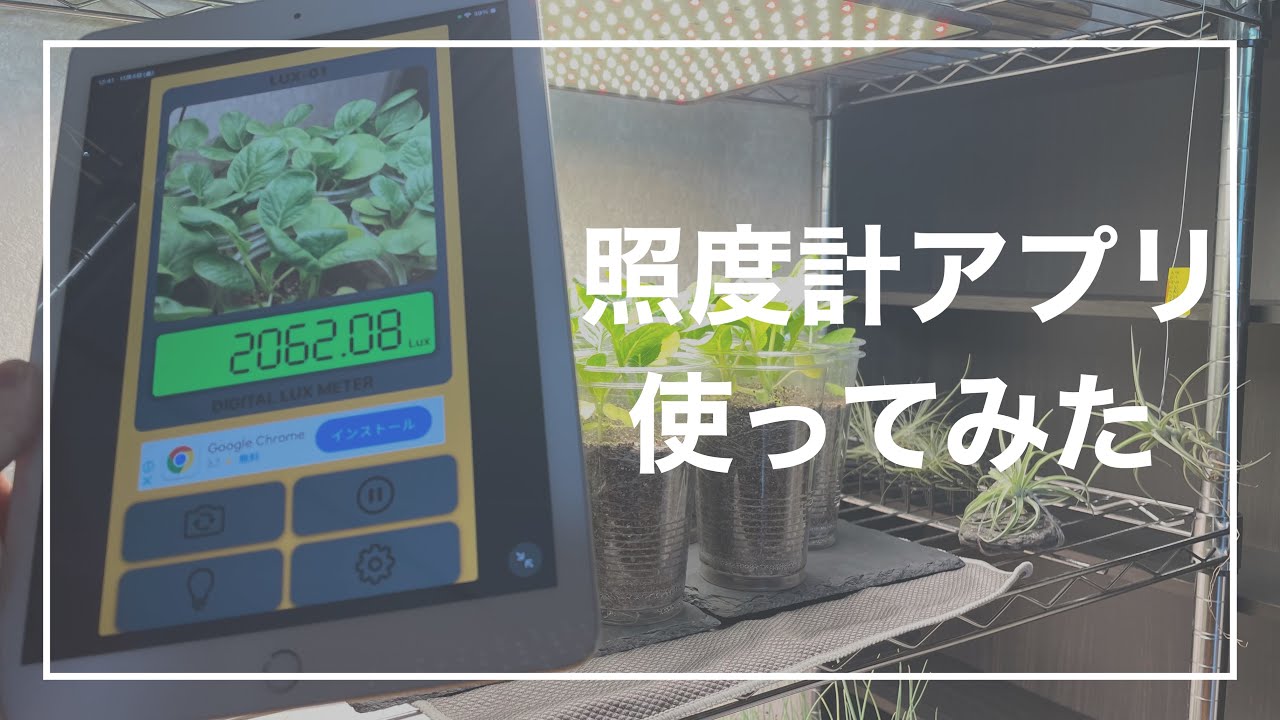 照度計アプリを使ってみた