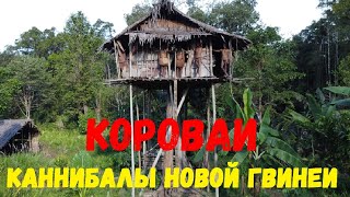 Part 1. The Cannibals of New Guinea. Korowai. Каннибалы Новой Гвинеи. Короваи.