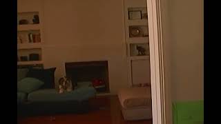 Panasonic DVX 100 cam test