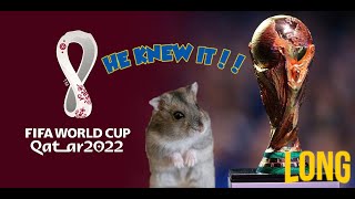 How Successful were Hamster's Tips of World Cup 2022? [LONG] by Have you seen my hamsters? 147 views 1 year ago 36 minutes