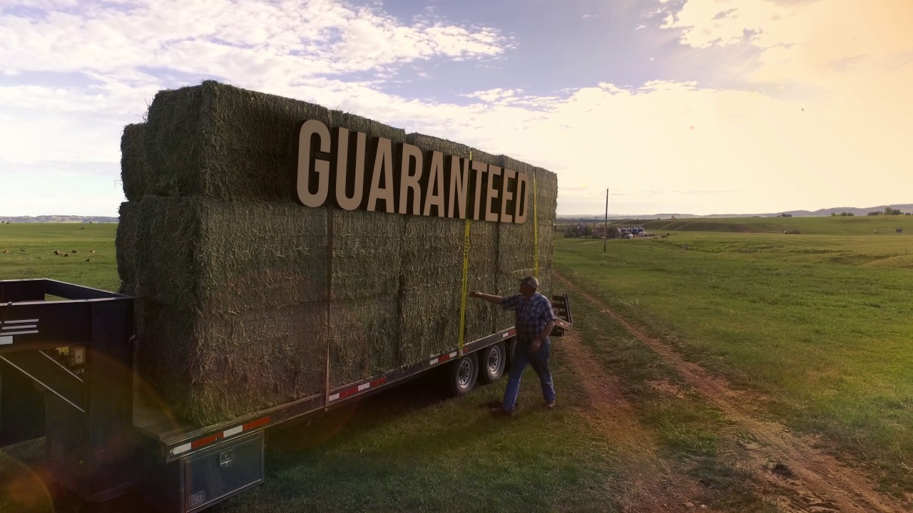 American AG Video Auctions Summer 2017 Commercial