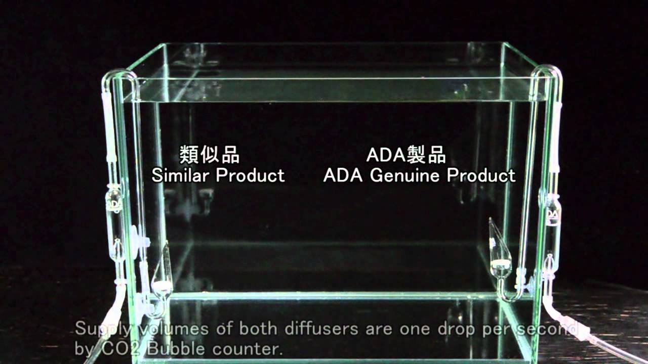 【ADA view 6】 NAギャラリー水槽の経時変化とパレングラスシリーズ