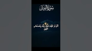 سورة الفيل 🌿 بصوتٍ خاشع يلامس القلب | Quran Surah Al-Fil