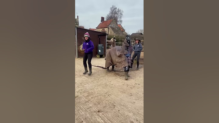 People Dressed As Fake Horse Dance With Women At Barn - 1183414-3