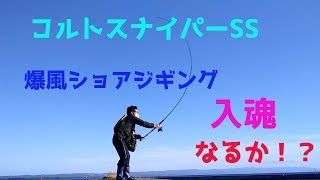 コルトスナイパーSSを入魂したくて・・・