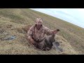 Охота на гуся в Казахстане 2019 г.