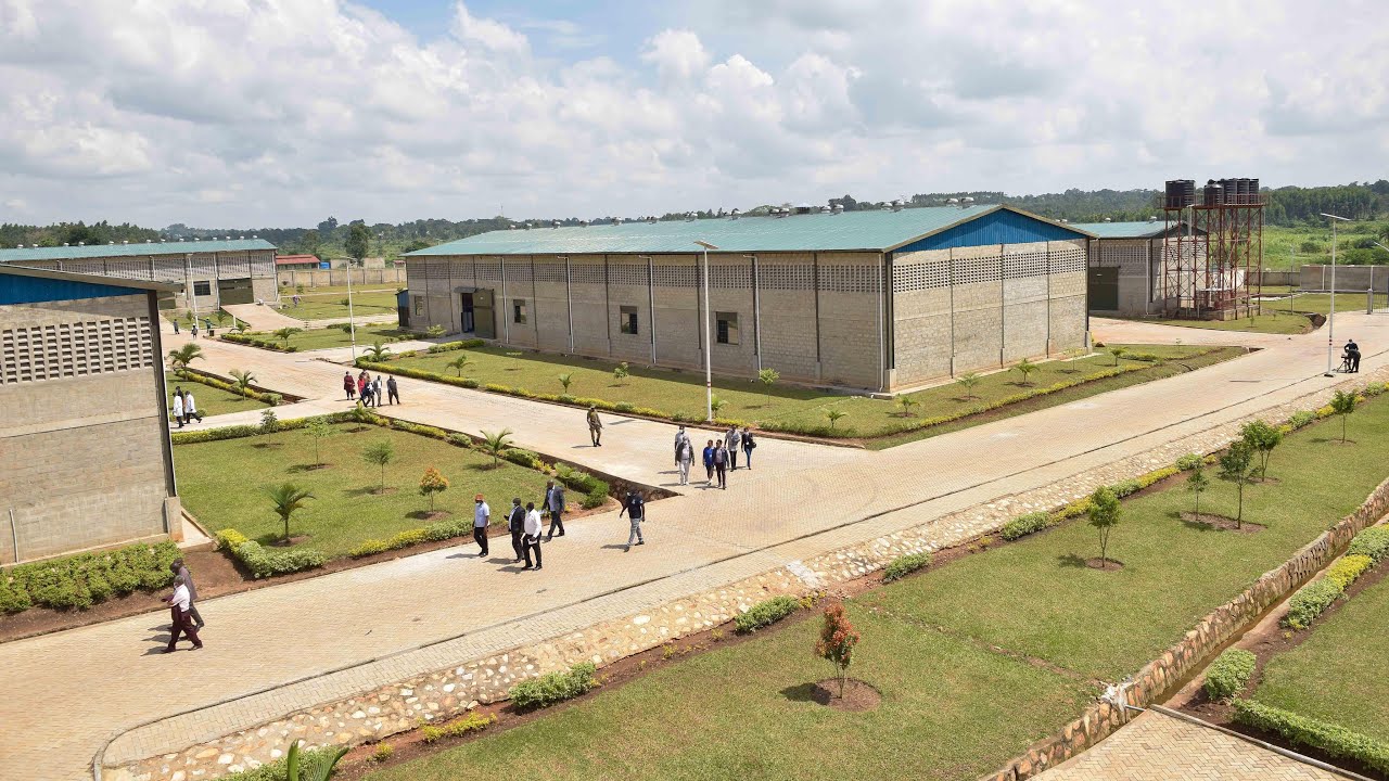 Museveni’s Kawumu tannery is turning animals skins into Gold, fetching billions for Uganda