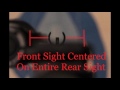 AK Iron Sights: How to Use the Ak Rifle's "Built-In Eotech"