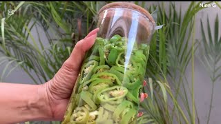 Sliced Pickled Jalapenos | How to make Pickled Green Chillies| Green Chilli Jalapeno| By Nina G