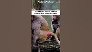 What do you call two monkeys who share an Amazon account?