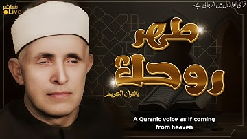 صوت ملائكي يخطف الأرواح 😢 آيات تفيض سكينة ونورًا ✨ | Emotional Quran Tilawah