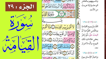 سورة القيامة || احفظها بسهولة مع القارئ ياسر سلامة (مصحف الحفظ الميسر) Al-Qiyamah