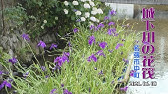 花筏イルミネーション Youtube