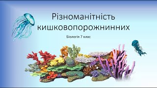 Біологія. Тварини. Різноманітність кишковопорожнинних. Медузи. Поліпи. Гідра. Фізаліі