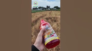 Cái kết sau khi phun thuốc diệt cỏ Thiên Lôi #thuoctrusau #dietco #tanbvtv