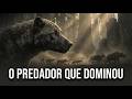 Amphicyon | O Predador que Dominou