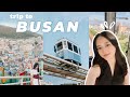 3 days in busan   a travel vlog  indo sub