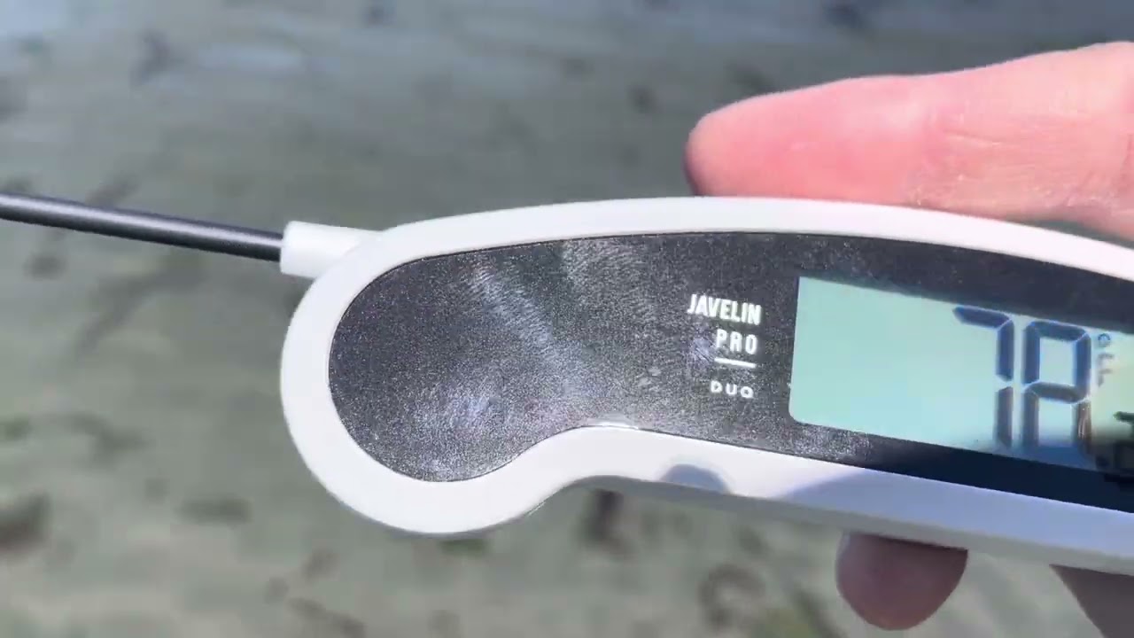 Lavatools Javelin Pro Temps Out Puget Sound Seattle