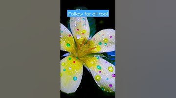 #1 flower editing with water drop, #snapseed #edit #editing #newshorts #shorts