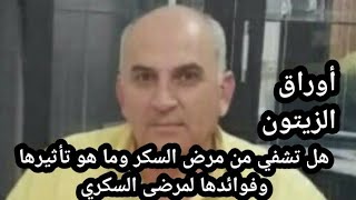 هل تشفي أوراق الزيتون من السكري وماهي فوائدها لمرضى السكري....