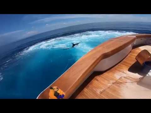 Adventures Of The Viking Yachts 92", "Fa La Me"