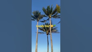 Thumbnail of Lovely Day:Bill Withers #love #life #trending #viral #youtube #live #vibes #music #youtubeshorts