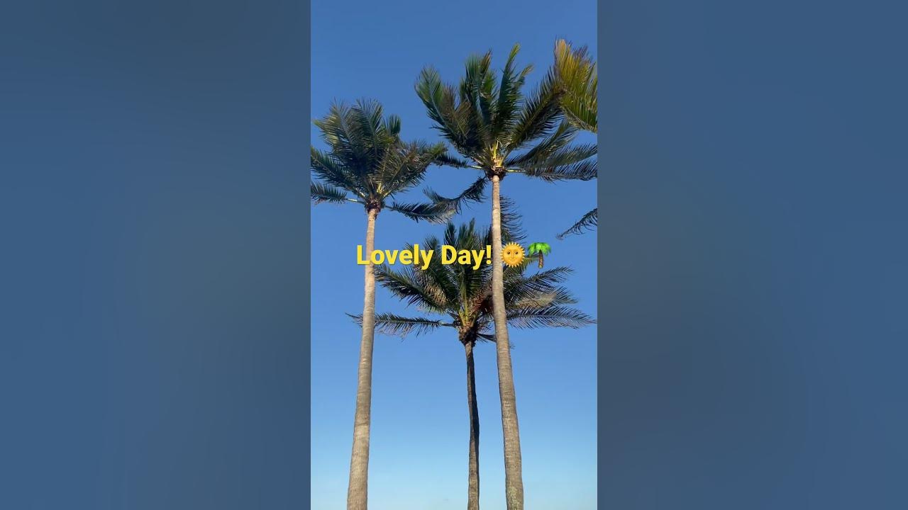 Lovely Day:Bill Withers #love #life #trending #viral #youtube #live #vibes #music #youtubeshorts
