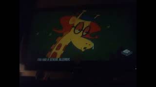 Patsy Eat All Cheese 3