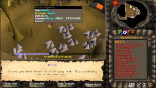 Tutorial Island - F2P Remake 06