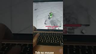 no mouse (tsb)