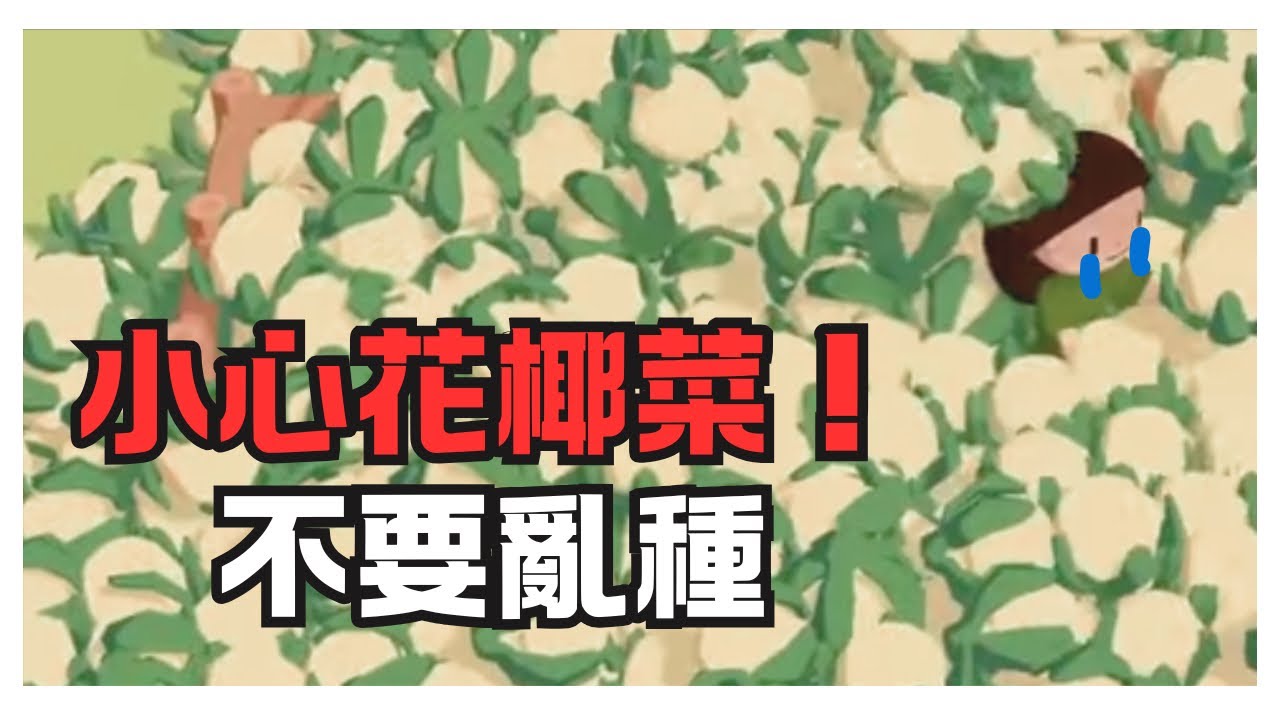 這花椰菜被詛咒了？遊玩前一定要小心！|《舒舒服服小島時光 Cozy Island Demo 試玩》