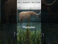 Extinct Mammals Quiz #nature #wildlife #animalquiz #naturequiz #extinct #extinction