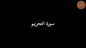 سورة التحريم للشيخ محمد زكريا بمسجد طارق بن زياد بإمبابة صلاة التراويح في رمضان