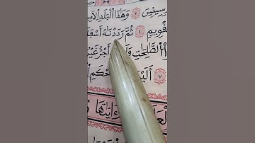 سورة ✨ التين ✨ #قران_كريم #يارب #القران #اكسبلور
