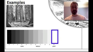 Design Principles: Contrast